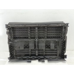 CALANDRA DELANTERA DE RADIADOR 9817002880 