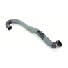 Recambio de tubo para renault austral tce 130 referencia OEM IAM 215038825R  