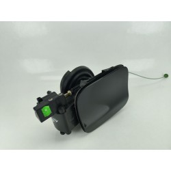 TAPA EXTERIOR COMBUSTIBLE 41002990139 