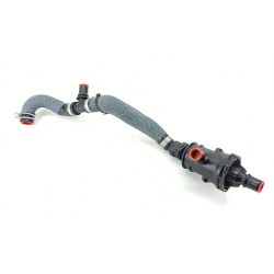 TERMOSTATO 212006896R 