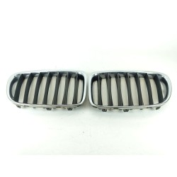 REJILLA PARAGOLPES CENTRAL 51117347667 