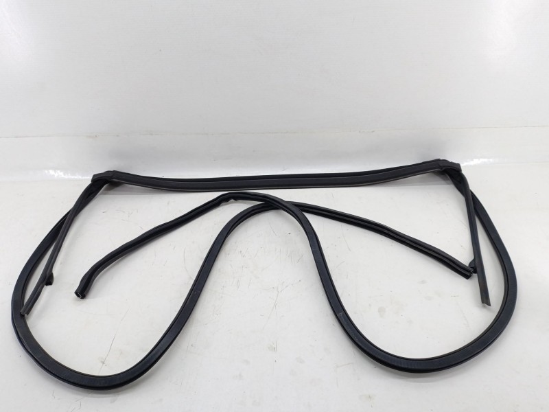 Recambio de gomas contorno puerta para bmw z4 roadster (g29) sdrive 20 i referencia OEM IAM 51717429625  