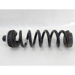 MUELLE AMORTIGUACION 31336890587 