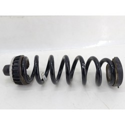 MUELLE AMORTIGUACION 31336890587 