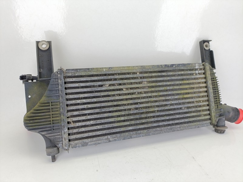 Recambio de intercooler para nissan pathfinder iii (r51) 2.5 dci 4wd referencia OEM IAM 14461EB360  