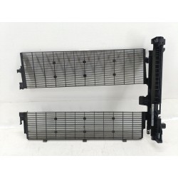 REJILLA DELANTERA 17118666839 