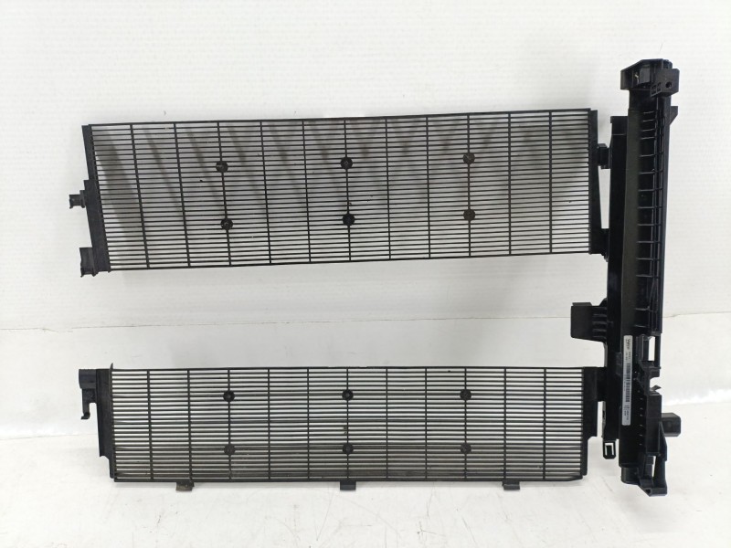 Recambio de rejilla delantera para bmw z4 roadster (g29) sdrive 20 i referencia OEM IAM 17118666839  