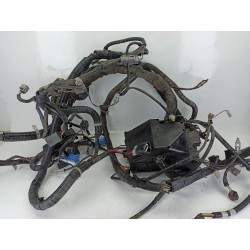 CABLEADO ELECTRICO EH6567010L 