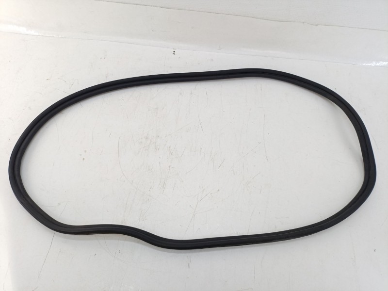 Recambio de gomas contorno puerta para bmw z4 roadster (g29) sdrive 20 i referencia OEM IAM 51769448728  