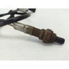 Recambio de sonda lambda para fiat grande punto (199_) 1.3 d multijet referencia OEM IAM 55191127  