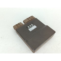 MODULO ELECTRONICO 227108H810 