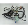 Recambio de cableado electrico para peugeot partner tepee 1.6 hdi 90 referencia OEM IAM 1609024380  