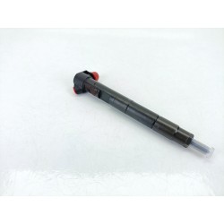 INYECTOR 6510704987 