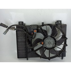 ELECTROVENTILADOR 3000257C 