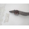 Recambio de brazo suspension inferior trasero derecho para mercedes-benz clase e (w211) e 320 cdi (211.022) referencia OEM IAM A