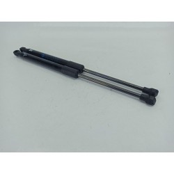 AMORTIGUADORES CAPO 51232990344 