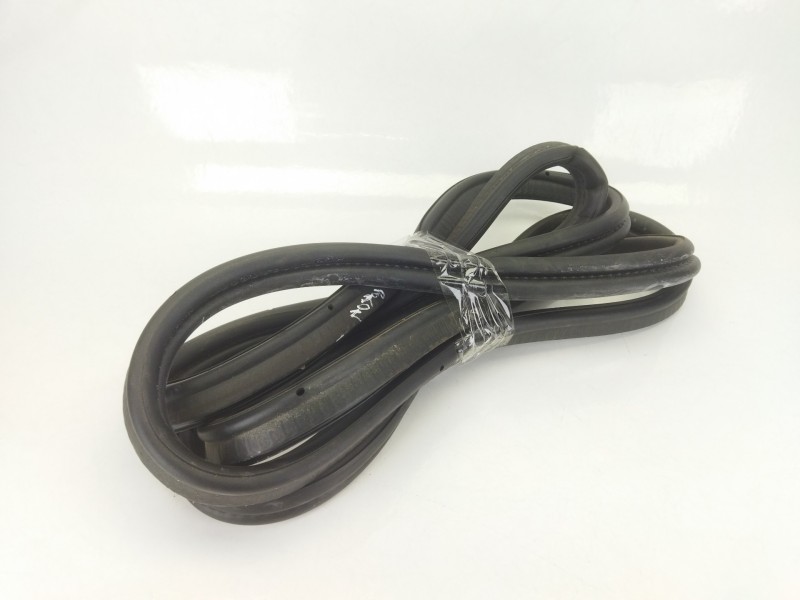 Recambio de gomas contorno puerta para bmw x1 (e84) sdrive 18 d referencia OEM IAM   