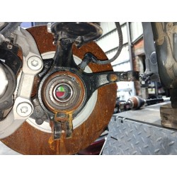 MANGUETA DELANTERA DERECHA 9826532380 