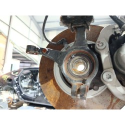 MANGUETA DELANTERA IZQUIERDA 9826532480 