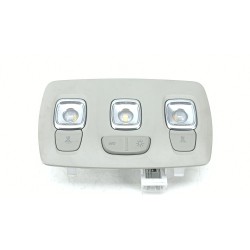 LUZ INTERIOR 264304001R 