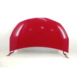 CAPOT DELANTERO 533010D130 