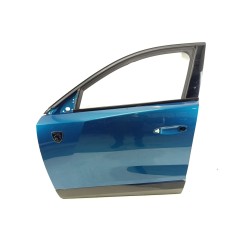 PUERTA DELANTERA IZQUIERDA 9847600480 