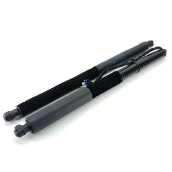 AMORTIGUADORES MALETERO / PORTON 51247497482 