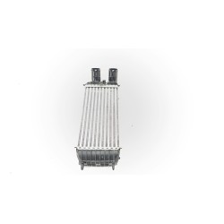 INTERCOOLER 9803900780 