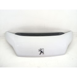 CAPOT DELANTERO 1686620980 