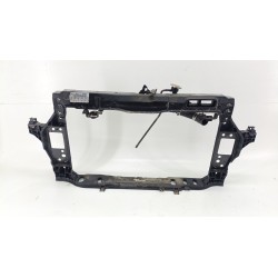 PANEL FRONTAL 64101C8000 