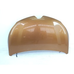CAPOT DELANTERO 651004529R 