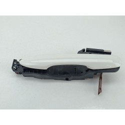 MANETA EXTERIOR TRASERA IZQUIERDA 6921102934 