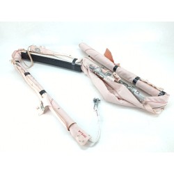 AIRBAG CORTINA DELANTERO IZQUIERDO LV4BS042D95AL 