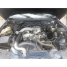 ssangyong musso (fj) del año 1998
