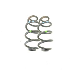 MUELLE AMORTIGUACION 550204CE6A 