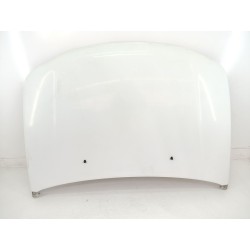CAPOT DELANTERO 5730065811000 