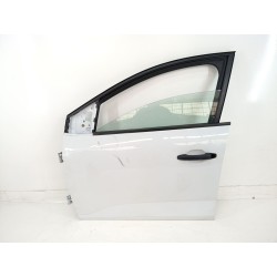 PUERTA DELANTERA IZQUIERDA 801018891R 