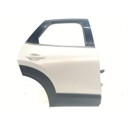 PUERTA TRASERA DERECHA DFR572010 