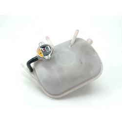 DEPOSITO EXPANSION 25430G4300 