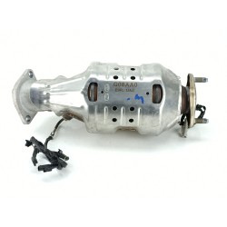 CATALIZADOR 289G008AA0 