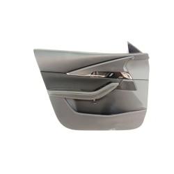 GUARNECIDO PUERTA DELANTERA IZQUIERDA DFR968450G 