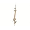 Recambio de columna direccion para nissan terrano ii (r20) 2.7 tdi 4wd referencia OEM IAM 488100F000  
