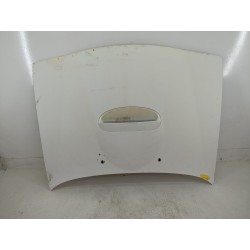 CAPOT DELANTERO 651000F030 