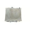 Recambio de radiador agua para nissan terrano ii (r20) 2.7 tdi 4wd referencia OEM IAM 214100F121  