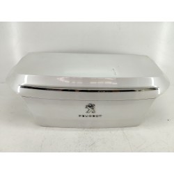 PORTON TRASERO 9808850580 