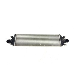 INTERCOOLER 2405099 