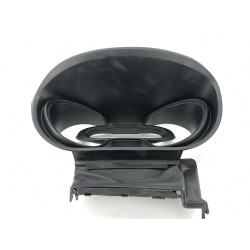MOLDURA 681010993R 