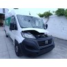 fiat ducato caja/chasis (250_) del año 2024