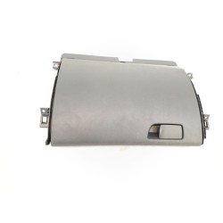 GUANTERA 685001166R 