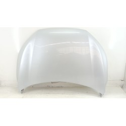 CAPOT DELANTERO 65100W000P 